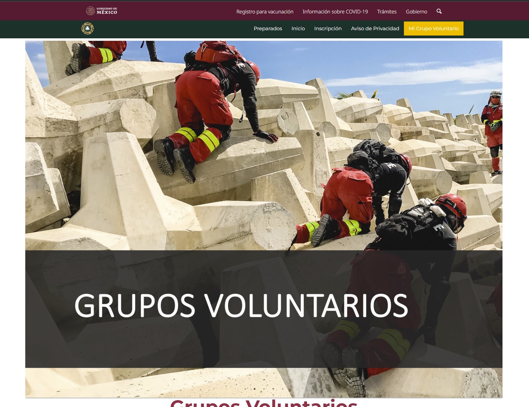 Volunteer Groups